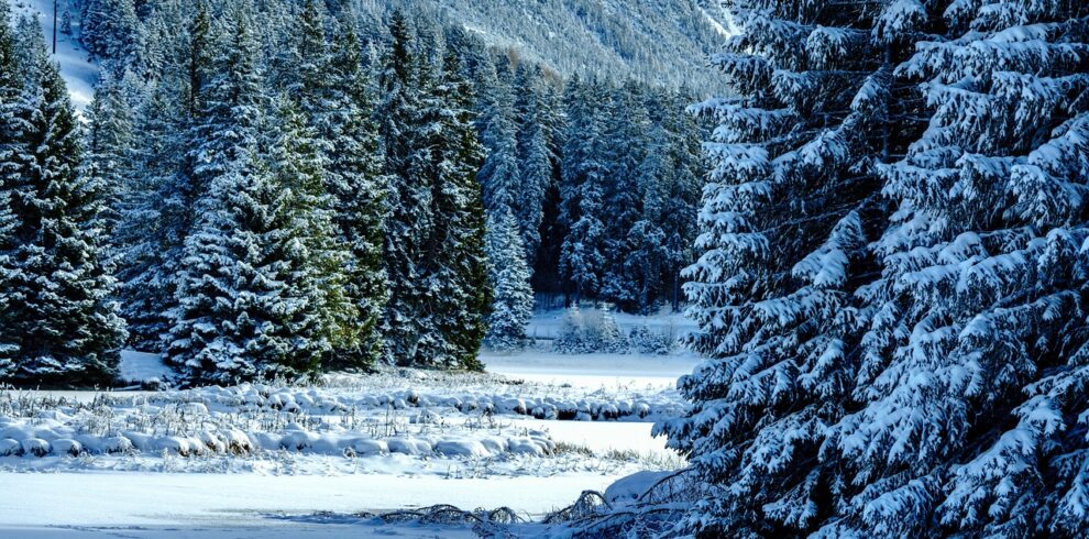 winter, snow, mountains, winter landscape, snow landscape, covered in snow, ice cream, frozen, nature, winter, winter, winter, winter, winter, snow, snow, winter landscape, nature