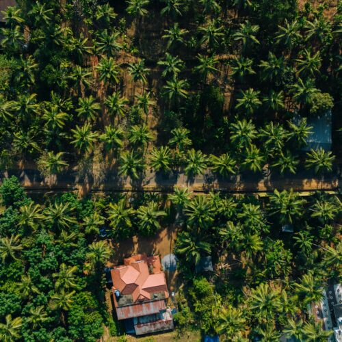 Drone shot of a lush tropical village in Chakkittapara, Kerala, India.