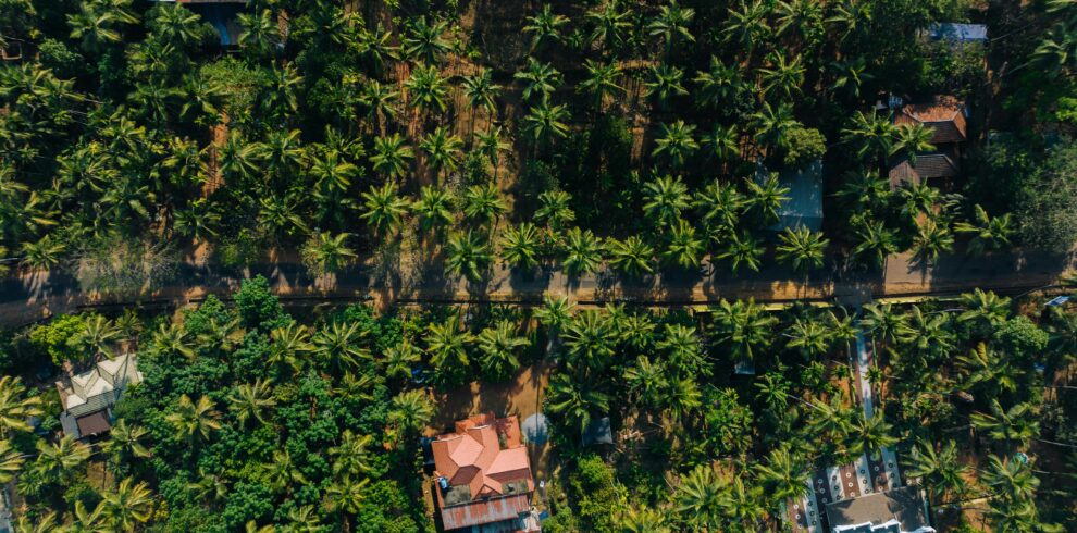 Drone shot of a lush tropical village in Chakkittapara, Kerala, India.