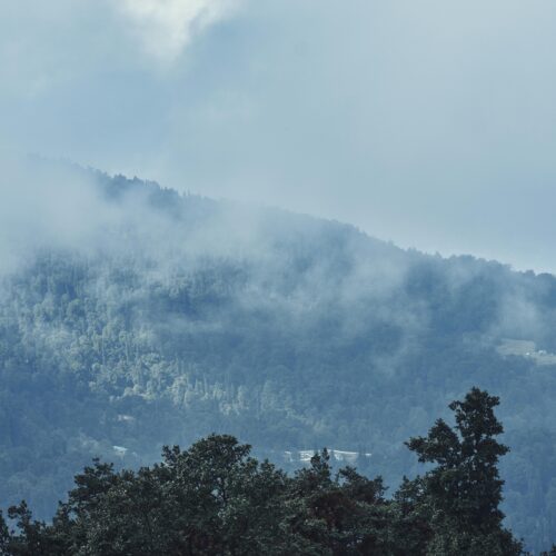 Serene misty view of forested mountains in Manali, Himachal Pradesh, India.