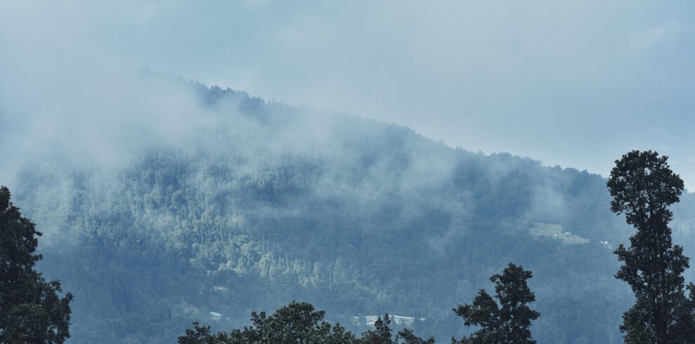 Serene misty view of forested mountains in Manali, Himachal Pradesh, India.